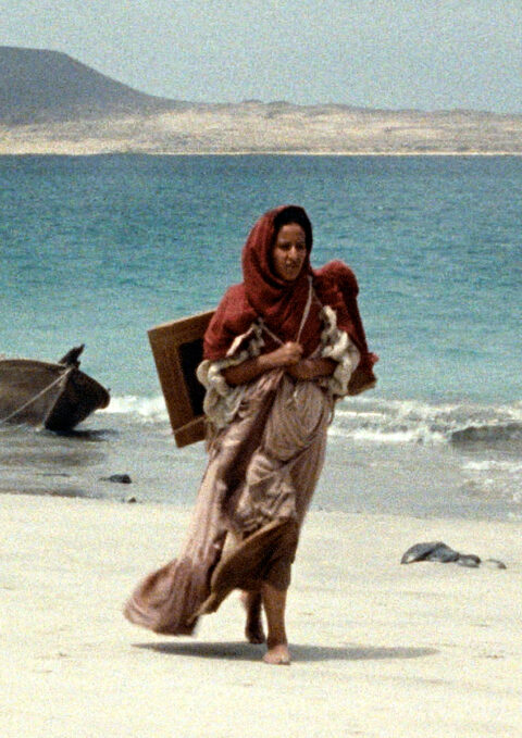 THE FORTUNATE ISLES + by Helena Girón & Samuel Delgado